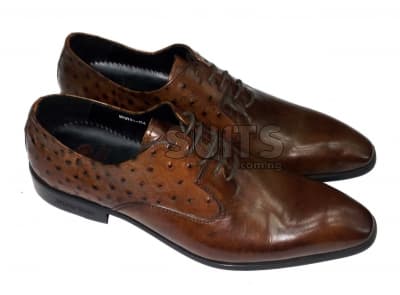 Brown Dotted Leather Formal Shoe